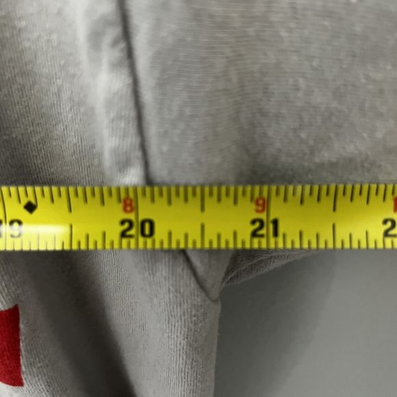 Lion In The Mane Band T Shirt Large Brooklyn New York Light Grey Very Good Cond - Picture 5 of 6